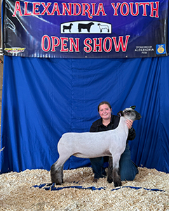 Champion breeding ewe & Reserve champion overall ewe
2025 Alexandria Youth Open Show