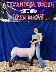 Reserve champion wether Dam 2025 Alexandria Youth Open Show
